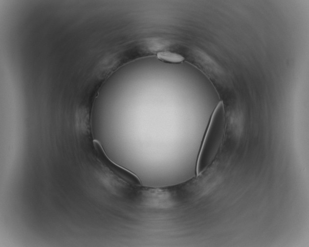 X0000111790421200907231147