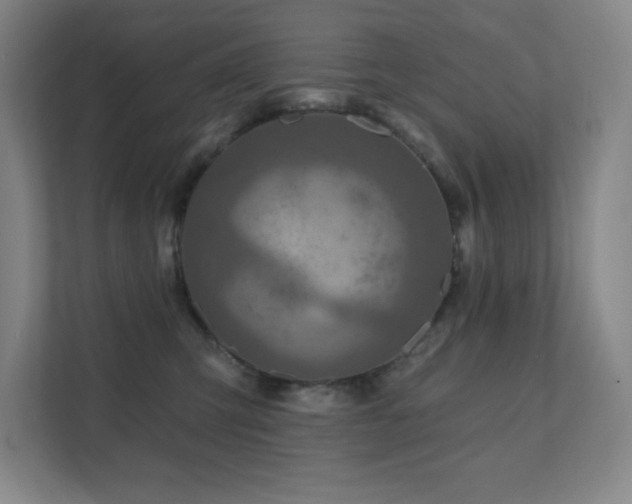 X0000111790423200907231147