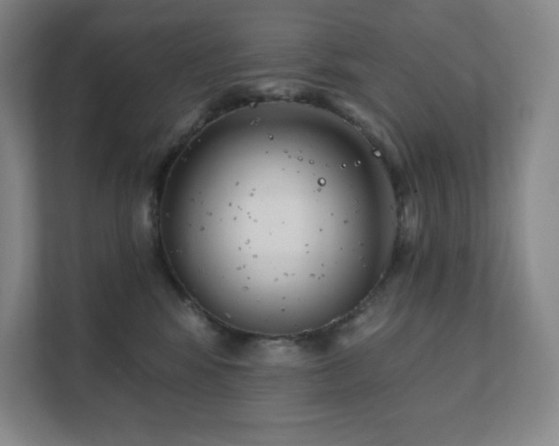 X0000111790424200907231147