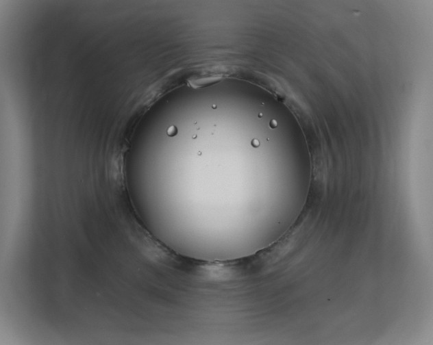 X0000111790425200907231147