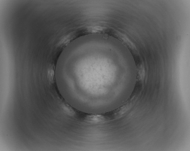 X0000111790427200907231147