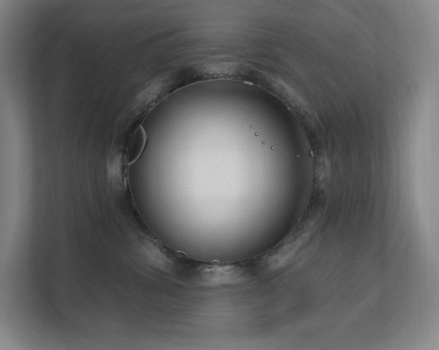 X0000111790428200907231147