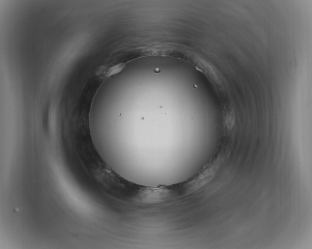 X0000111790429200907231147