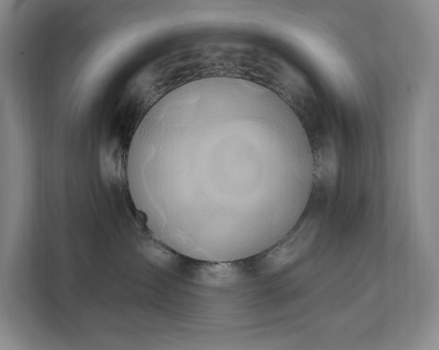 X0000111790431200907231147