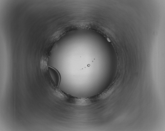 X0000111790432200907231147