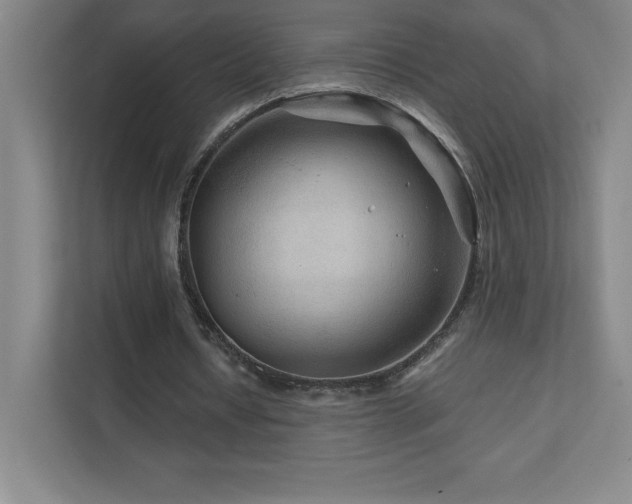 X0000111790434200907231146