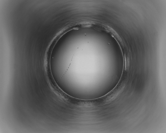 X0000111790435200907231146