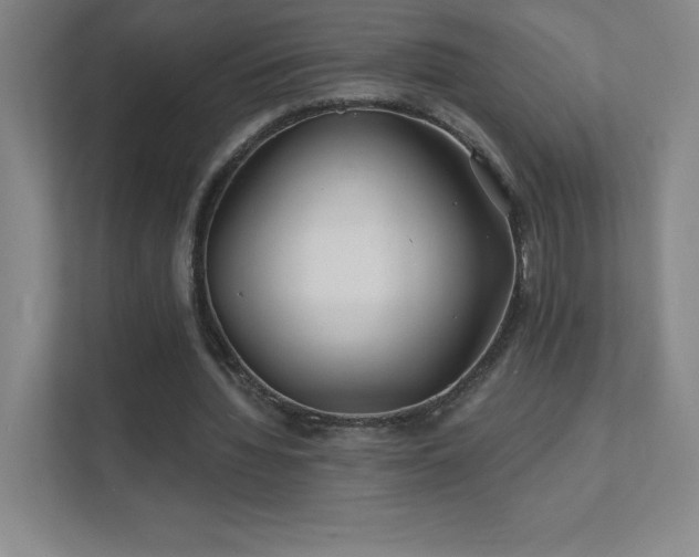 X0000111790436200907231146