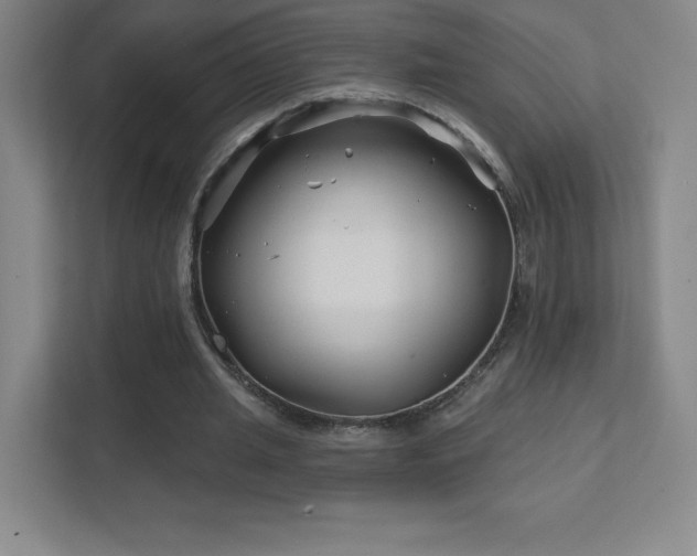 X0000111790437200907231146