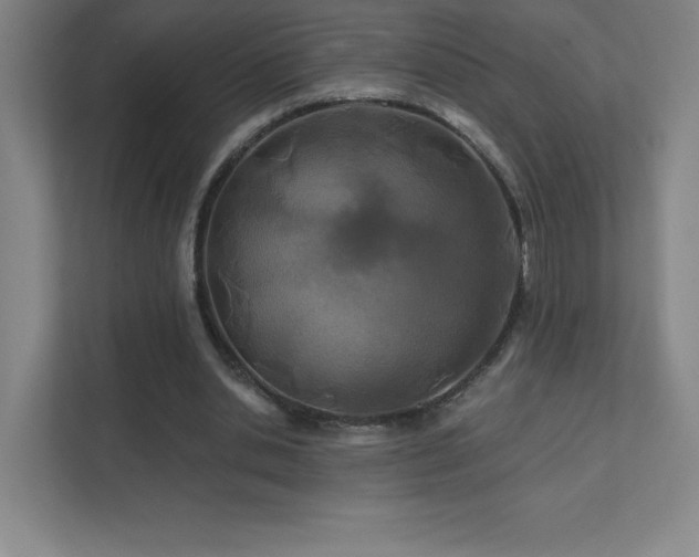 X0000111790438200907231146