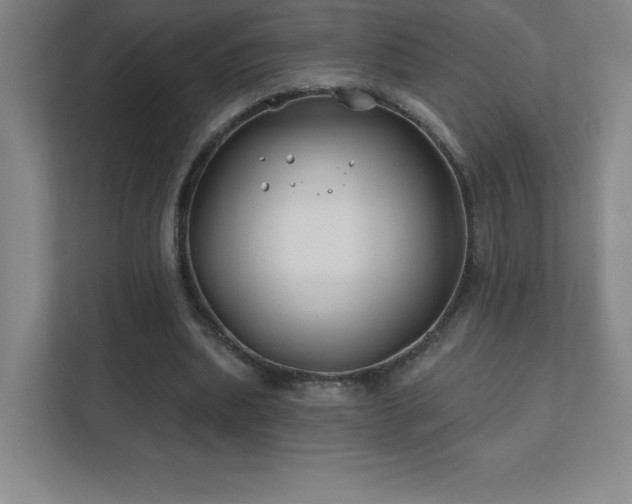 X0000111790439200907231146