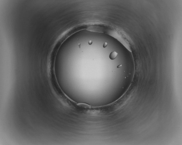 X0000111790440200907231146