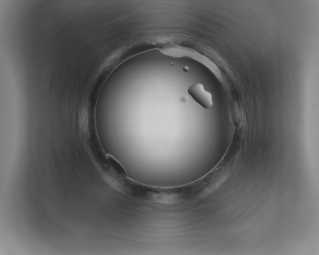 X0000111790444200907231146