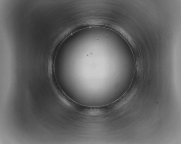 X0000111790445200907231146