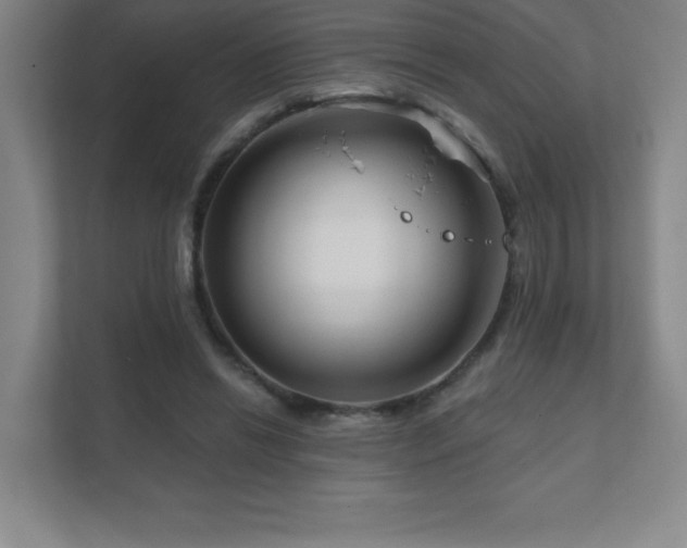 X0000111790446200907231146