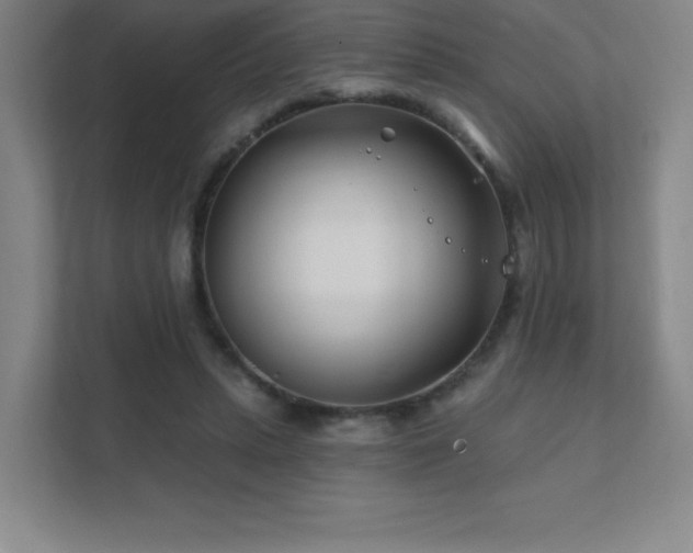 X0000111790447200907231146