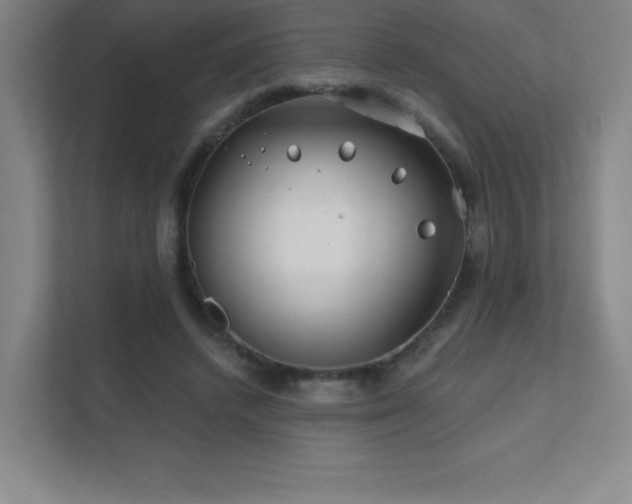 X0000111790448200907231146