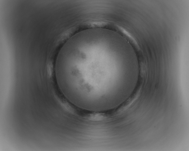 X0000111790451200907231146