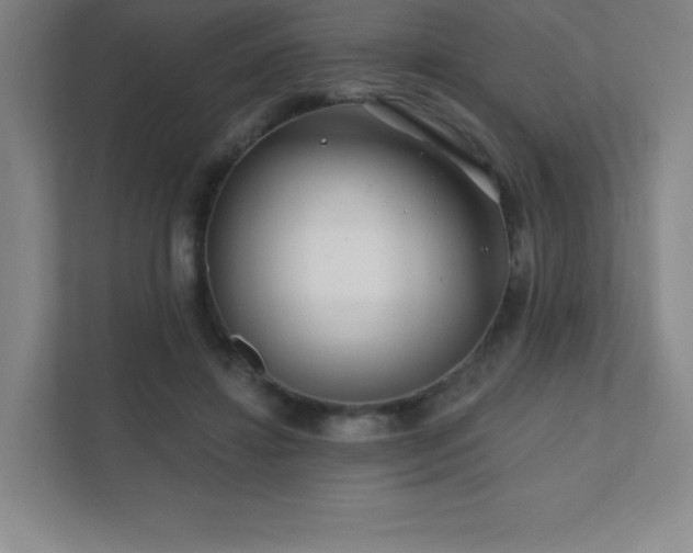 X0000111790452200907231146