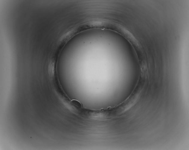 X0000111790454200907231146