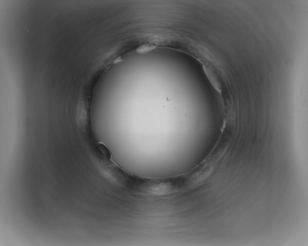 X0000111790456200907231146