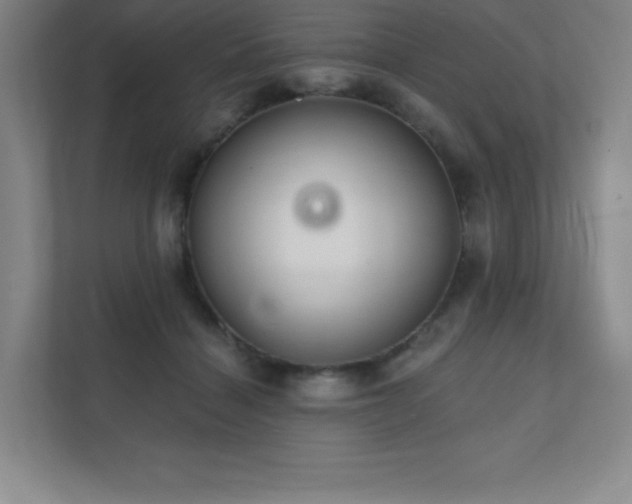 X0000111790460200907231146