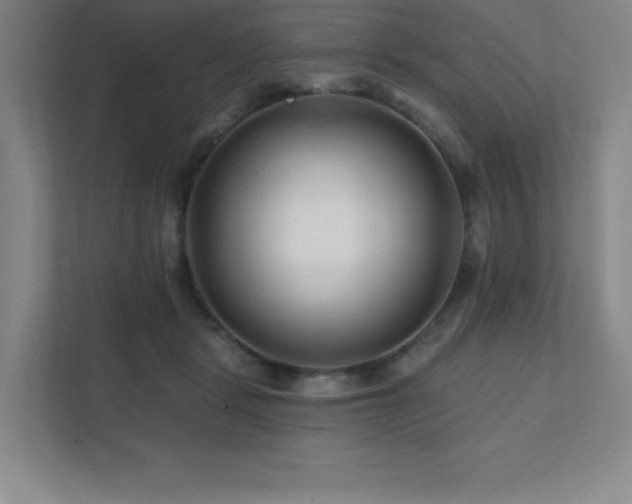 X0000111790461200907231146