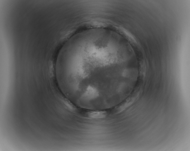 X0000111790465200907231146