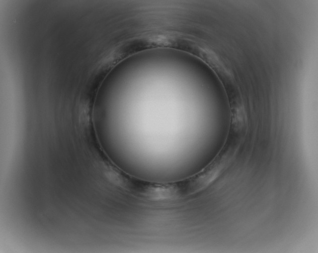 X0000111790466200907231146