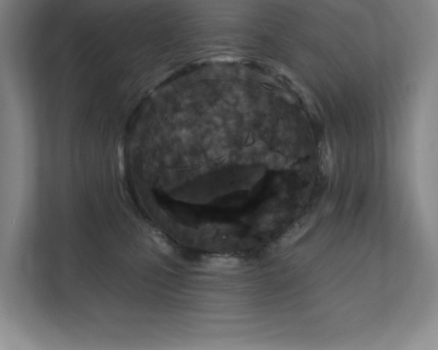 X0000111790471200907231146