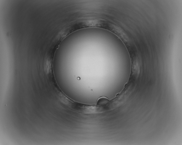 X0000111790473200907231147