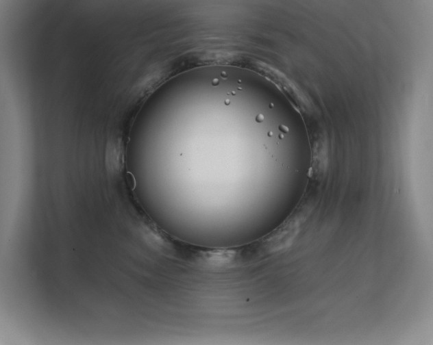 X0000111790474200907231147