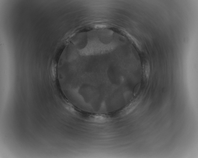 X0000111790475200907231147