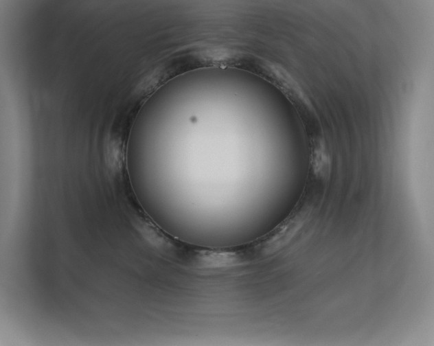 X0000111790476200907231147