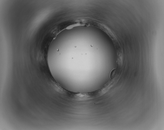 X0000111790477200907231147