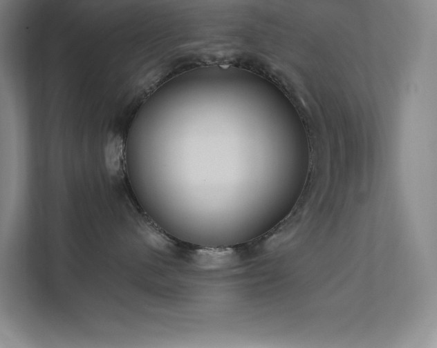 X0000111790480200907231147