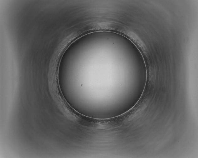 X0000111790481200907231146