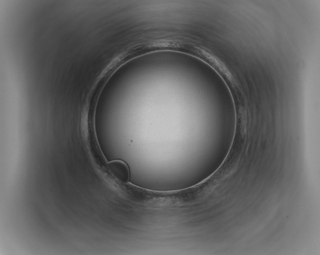 X0000111790482200907231146