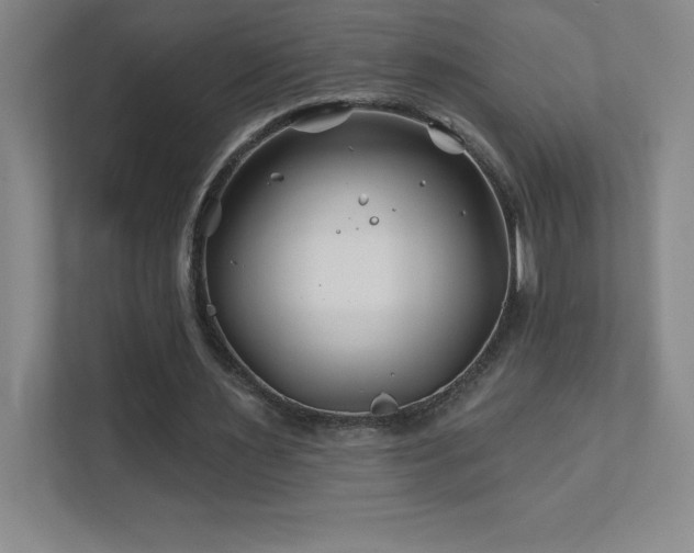 X0000111790483200907231146