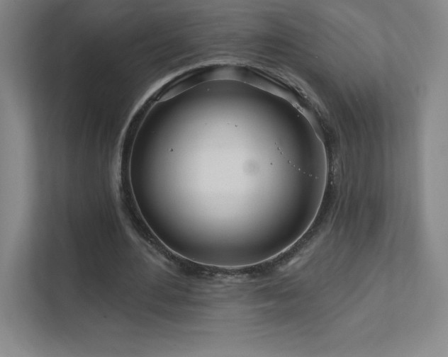 X0000111790484200907231146