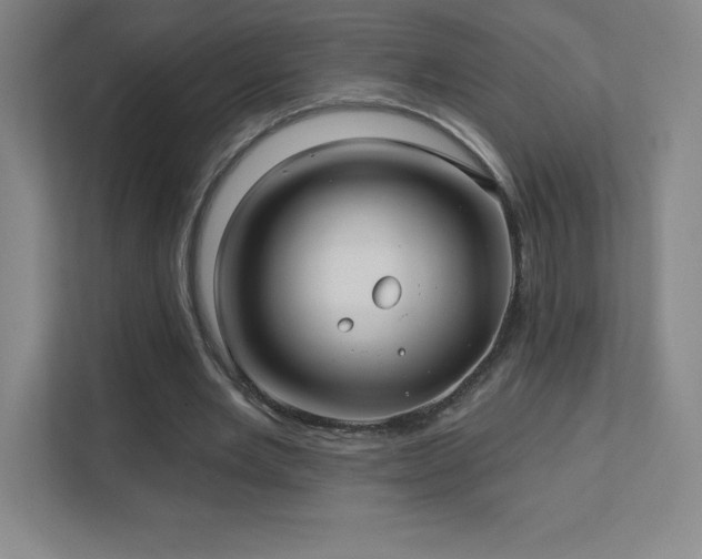 X0000111790485200907231146