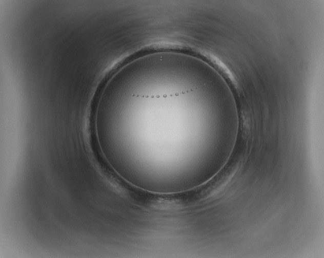 X0000111790487200907231146