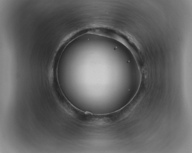 X0000111790488200907231146