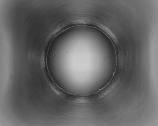 X0000111790489200907231146