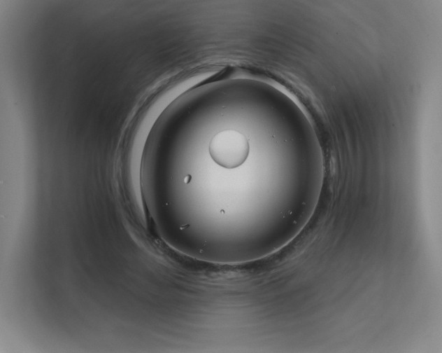 X0000111790492200907231146