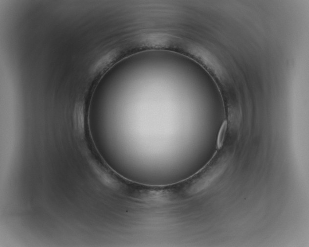 X0000111790493200907231146