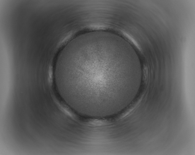 X0000111790494200907231146