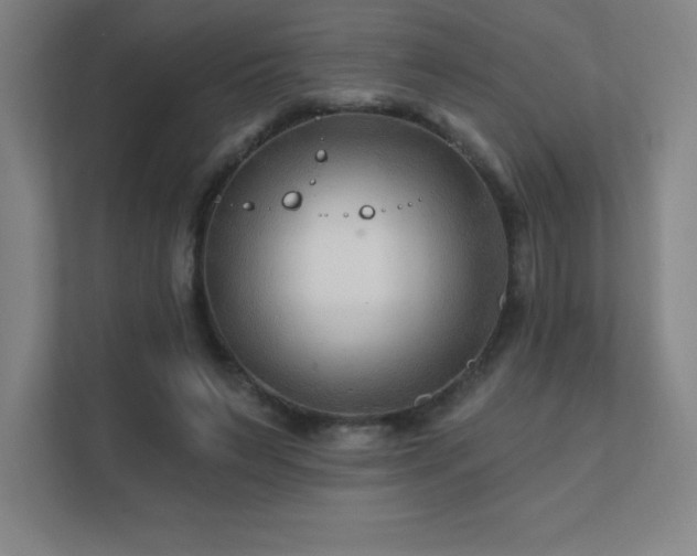 X0000111790495200907231146