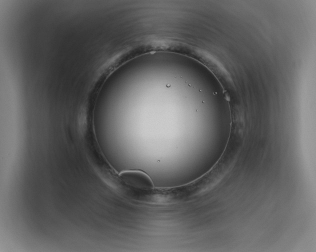 X0000111790496200907231146