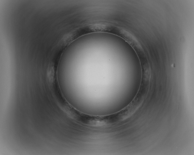 X0000111790498200907231146